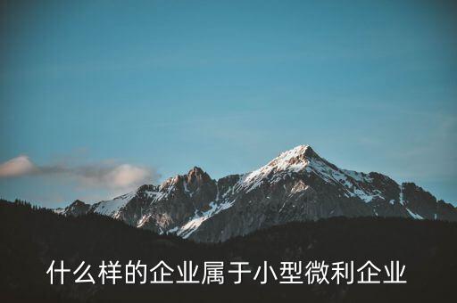 什么企業(yè)算小微企業(yè)，由什么部門來核準企業(yè)屬于小微企業(yè)