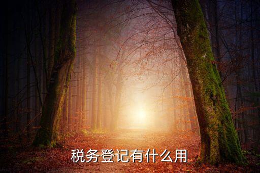 有稅務(wù)登記有什么好，稅務(wù)登記有什么用