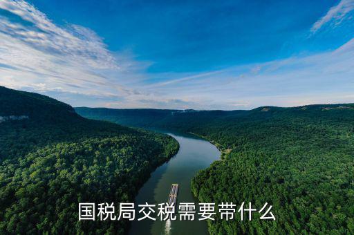 稅務局交稅都帶什么，去稅務局打增值稅稅單都帶什么