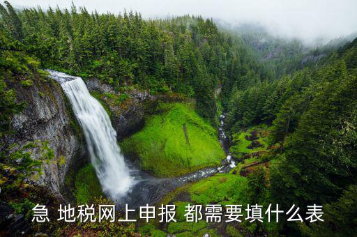 稅務(wù)申報(bào)表用什么填置，怎么填寫稅務(wù)申請(qǐng)表