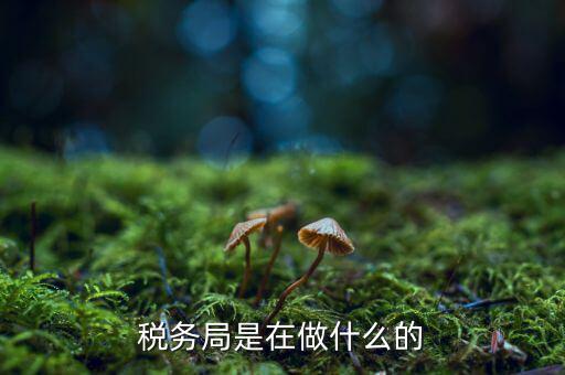 稅務總局是做什么的，稅務局是在做什么的