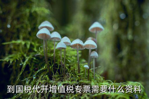 國稅局開具專票要什么，到國稅代開增值稅專票需要什么資料
