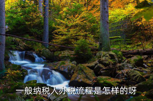 什么是正常辦稅，一般納稅人辦稅流程是怎樣的呀