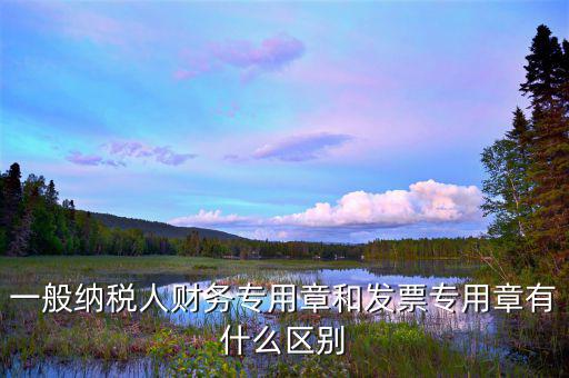 一般納稅人財(cái)務(wù)專(zhuān)用章和發(fā)票專(zhuān)用章有什么區(qū)別