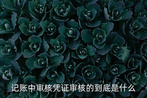 什么是抵扣憑證審核，記賬中審核憑證審核的到底是什么