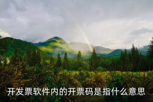 手工發(fā)票代碼什么意思，請(qǐng)問(wèn)我發(fā)票代碼第8位9位分別是BK是什么意思