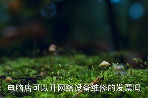 電腦店可以開網(wǎng)絡設備維修的發(fā)票嗎