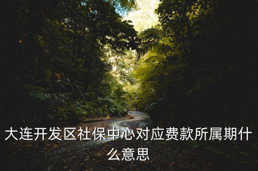 社保所屬期是什么意思，大連開發(fā)區(qū)社保中心對應費款所屬期什么意思