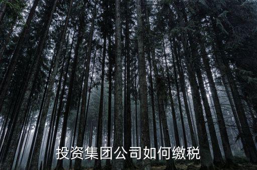 投資公司交什么稅2017，投資集團公司如何繳稅