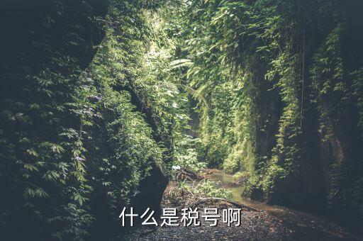 無證合一的稅號是什么意思，什么叫稅號