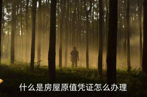 房屋原值是什么，什么是房屋原值憑證怎么辦理