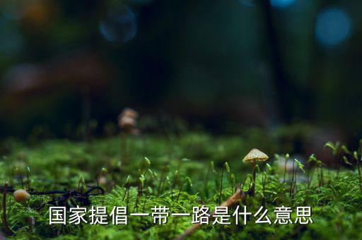 國(guó)稅一帶一路什么意思，一帶一路指什么意思