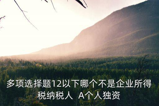 什么納稅人，多項(xiàng)選擇題12以下哪個(gè)不是企業(yè)所得稅納稅人  A個(gè)人獨(dú)資