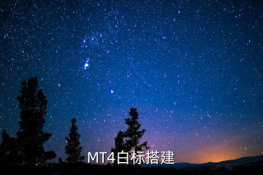稅務(wù)系統(tǒng)為什么進(jìn)行容災(zāi)建設(shè)，小微企業(yè)該購買什么樣的服務(wù)器涉及生產(chǎn)倉儲銷售和財(cái)務(wù)等  搜