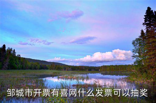 發(fā)票兌獎(jiǎng)用什么軟件，現(xiàn)在餐飲發(fā)票想?yún)⒓佣纬楠?jiǎng)應(yīng)該怎么做呀