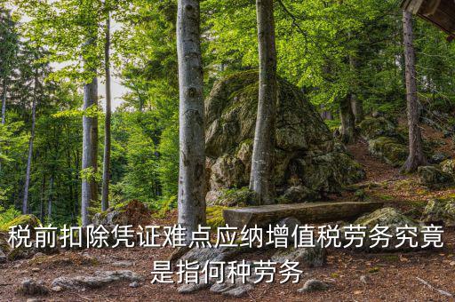 稅前扣除憑證難點應納增值稅勞務(wù)究竟是指何種勞務(wù)