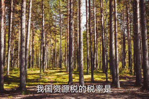 資源稅稅率是什么稅率，資源稅的計(jì)稅依據(jù)是什么稅率是多少