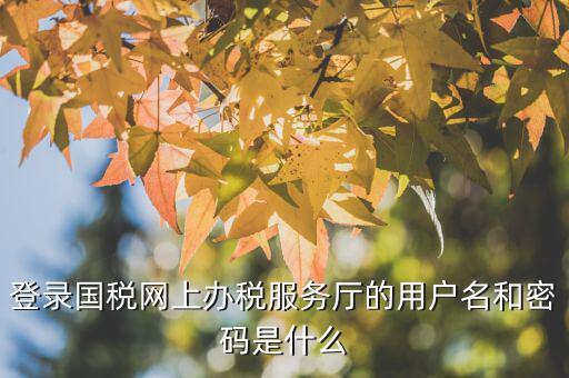 江蘇國稅電子稅務(wù)局登錄用戶名是什么，江蘇國稅網(wǎng)上辦稅服務(wù)廳的用戶名是什么