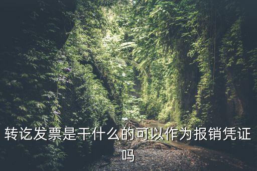 什么叫轉(zhuǎn)發(fā)票，我開了一張農(nóng)村合作信用社的轉(zhuǎn)賬發(fā)票請(qǐng)問什么是對(duì)應(yīng)發(fā)票