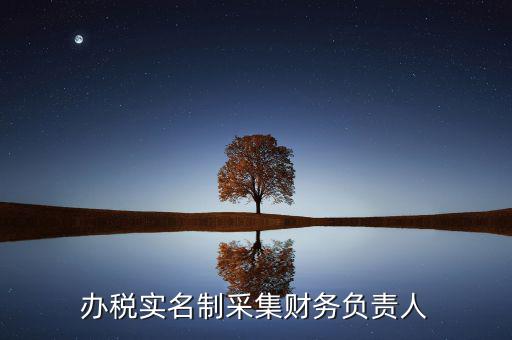 什么是實名辦稅，辦稅實名制采集財務(wù)負(fù)責(zé)人