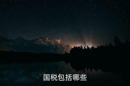 國稅綜合業(yè)務指什么，國稅包括哪些