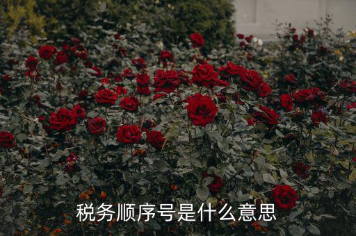 成都稅務(wù)號(hào)是什么意思，四川省國(guó)稅編號(hào)開(kāi)頭幾位數(shù)是什么