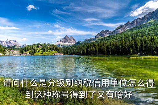 請(qǐng)問(wèn)什么是分級(jí)別納稅信用單位怎么得到這種稱號(hào)得到了又有啥好