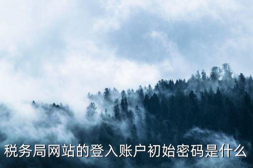國稅網(wǎng)上登陸密碼是什么，稅務局網(wǎng)站的登入賬戶初始密碼是什么