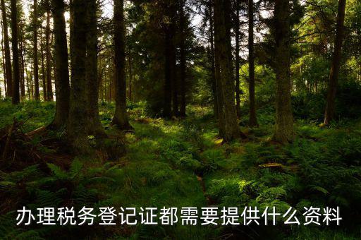 辦理稅務(wù)登記需要什么資料，辦理稅務(wù)登記證都需要提供什么資料