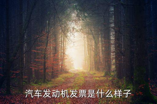 汽車(chē)發(fā)動(dòng)機(jī)發(fā)票是什么樣子