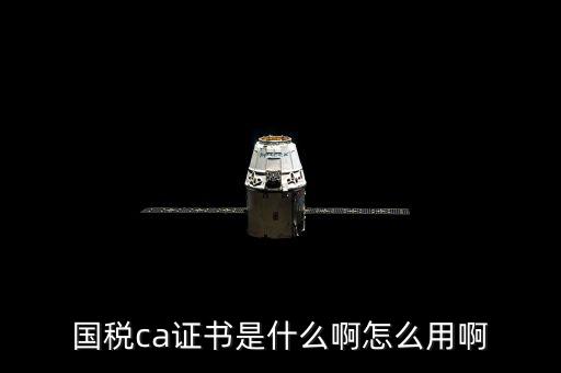 國稅的ca證書是什么意思，CA證書是什么東西包括pfx cert么