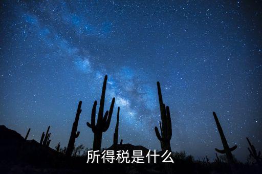 什么是額外所得稅，所得稅是什么