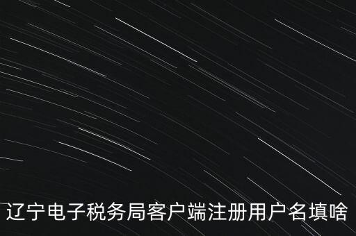 網(wǎng)上辦稅帳號(hào)是什么，登錄國(guó)稅網(wǎng)上辦稅服務(wù)廳的用戶名和密碼是什么