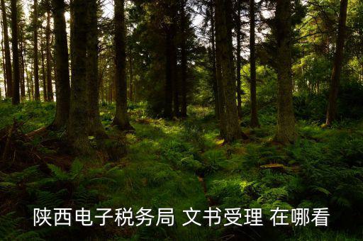 稅局文書受理什么意思，陜西電子稅務(wù)局 文書受理 在哪看