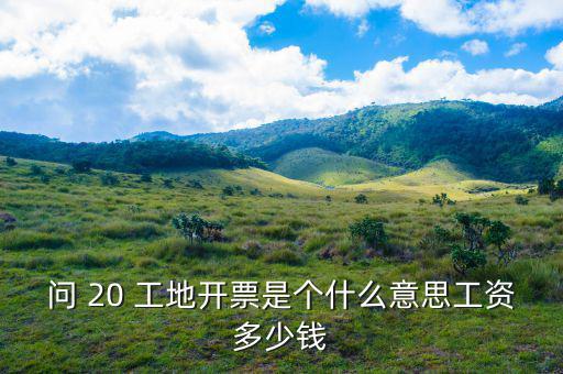 開票界面是指什么意思，會(huì)計(jì)的開票是什么意思