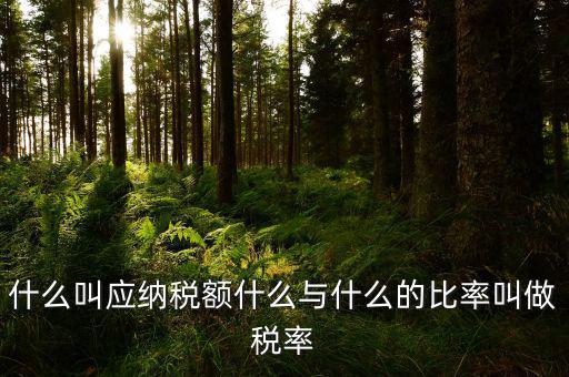 什么叫應用稅額，各種收入等于應用稅額除以什么