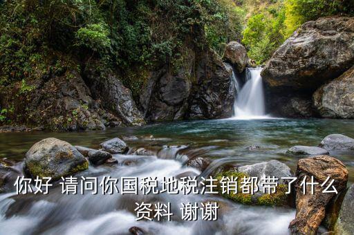 你好 請(qǐng)問你國稅地稅注銷都帶了什么資料 謝謝