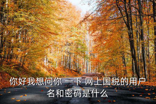 國(guó)稅登陸名和密碼是什么意思，國(guó)稅第一次網(wǎng)上申報(bào)的登陸密碼是什么