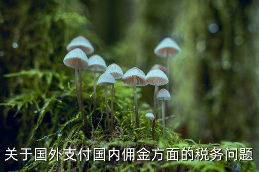 關(guān)于國外支付國內(nèi)傭金方面的稅務問題