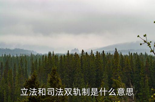 雙軌運(yùn)行什么意思，雙軌運(yùn)行解數(shù)字