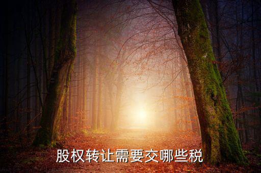 股權(quán)轉(zhuǎn)讓需要繳納什么稅，股權(quán)轉(zhuǎn)讓要交什么稅