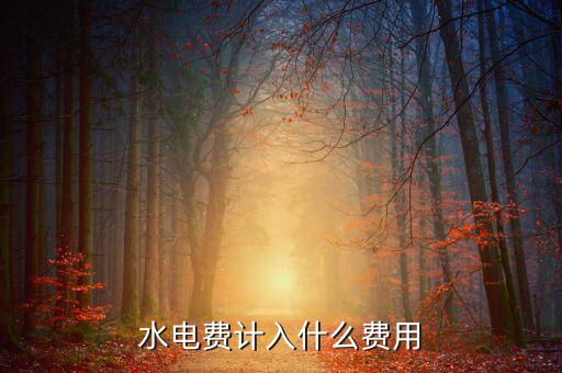 電費水費公司的費用算什么，公司用的水電費計入管理費用的什么二級科目
