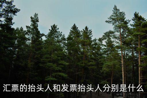 發(fā)票司稱人什么意思，匯票的抬頭人和發(fā)票抬頭人分別是什么