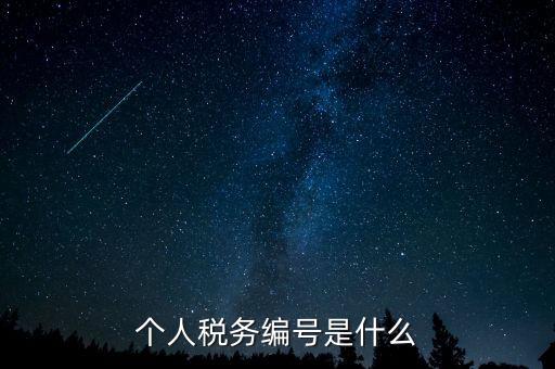 個人的稅收編號是什么，個人所得稅里面的注冊編碼是什么