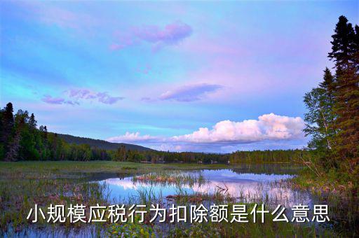 應(yīng)稅行為什么意思，有應(yīng)稅行為什么意思呢