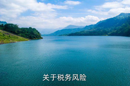 什么叫稅務(wù)風(fēng)險(xiǎn)管理，稅務(wù)風(fēng)險(xiǎn)管理的稅務(wù)風(fēng)險(xiǎn)管理制度