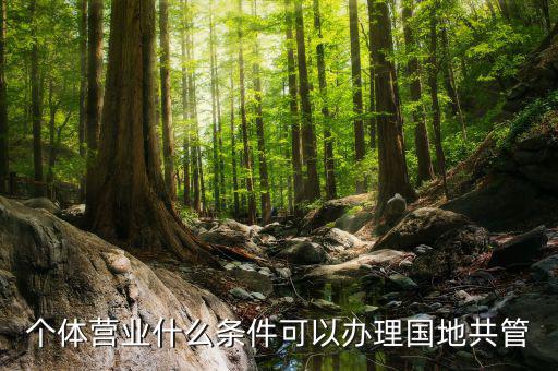 國地管戶類型是什么，國稅地稅共管戶