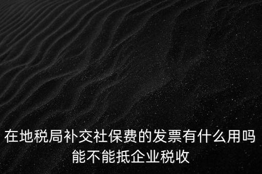 什么稅票能抵消社保費(fèi)用，輪渡費(fèi)后面有一張保險(xiǎn)發(fā)票是可以抵扣的