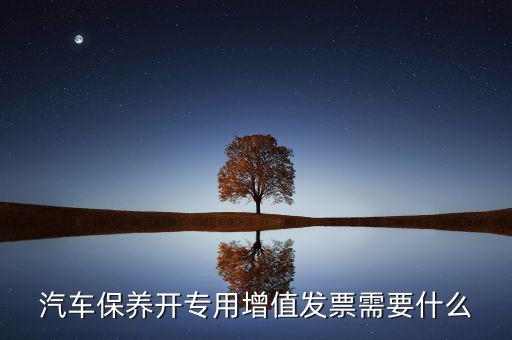 保險(xiǎn)開(kāi)專票需要什么，開(kāi)增值票項(xiàng)目只開(kāi)總一項(xiàng)行嗎保險(xiǎn)公司要求開(kāi)專票說(shuō)要么按實(shí)際