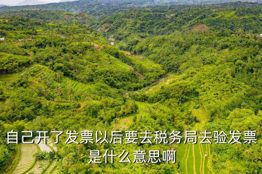驗證發(fā)票是什么意思啊，請問發(fā)票認證是什么意思